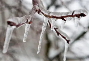 Prevén caída de nieve o aguanieve en Sinaloa del 3 al 5 de diciembre
