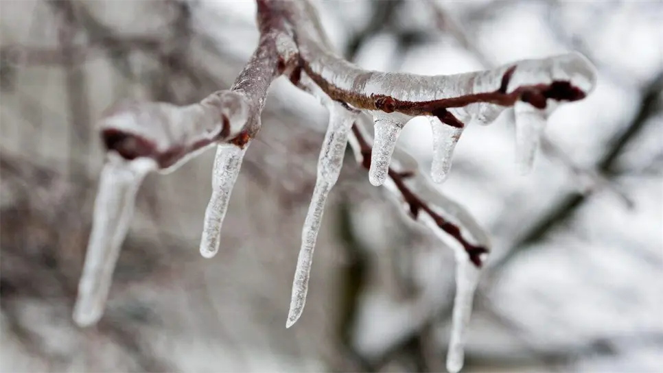 Prevén caída de nieve o aguanieve en Sinaloa del 3 al 5 de diciembre