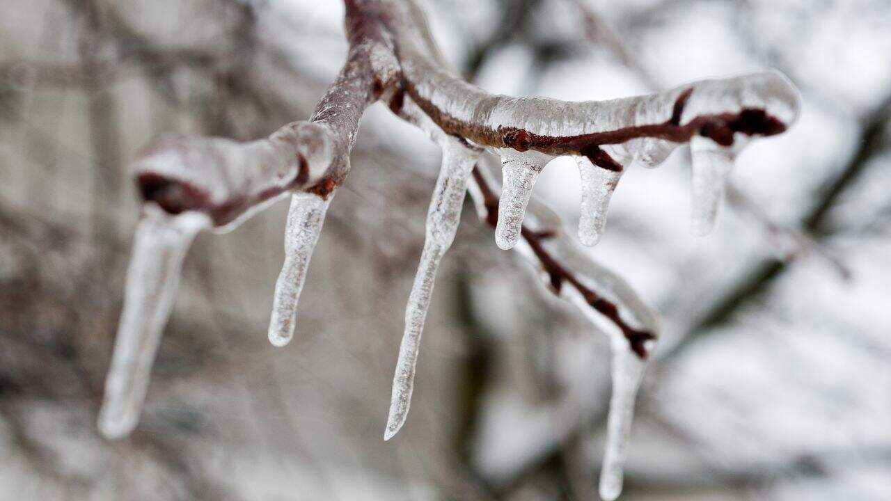 Prevén caída de nieve o aguanieve en Sinaloa del 3 al 5 de diciembre