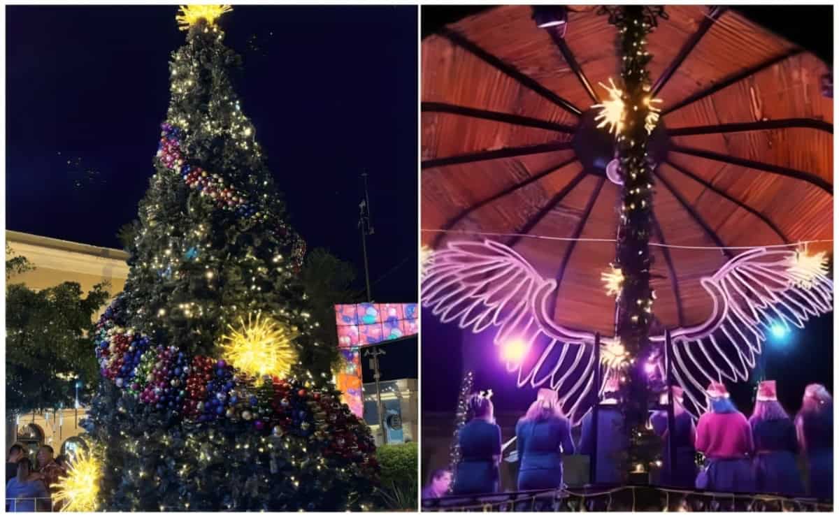 ¿Cuándo es el encendido del árbol de Navidad en Mazatlán y a qué hora?