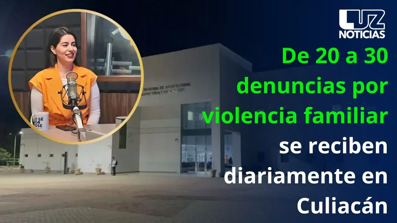 De 20 a 30 denuncias por violencia familiar se reciben diariamente en Culiacán