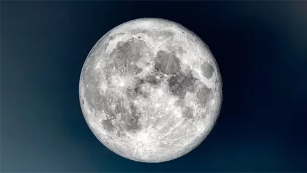 Nota Relacionada de México