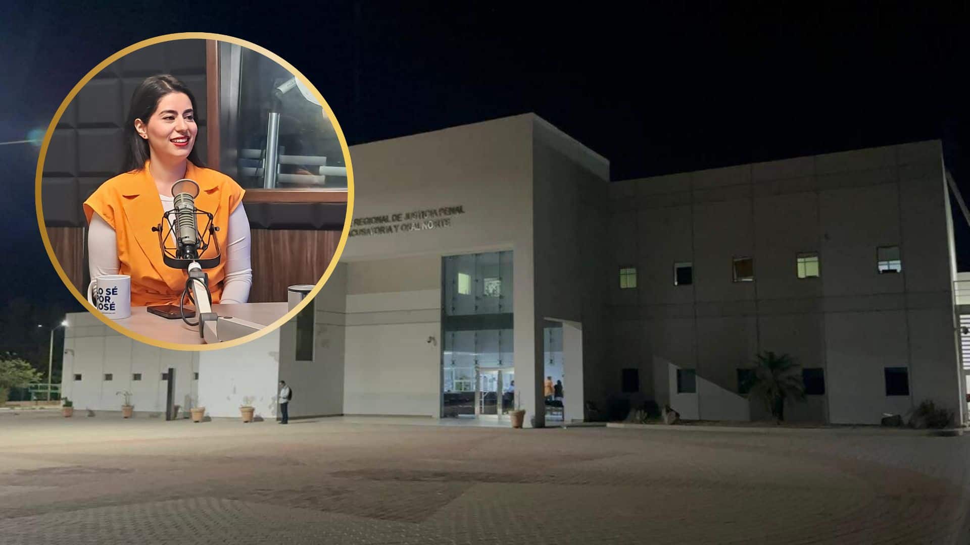 De 20 a 30 denuncias por violencia familiar se reciben diariamente en Culiacán