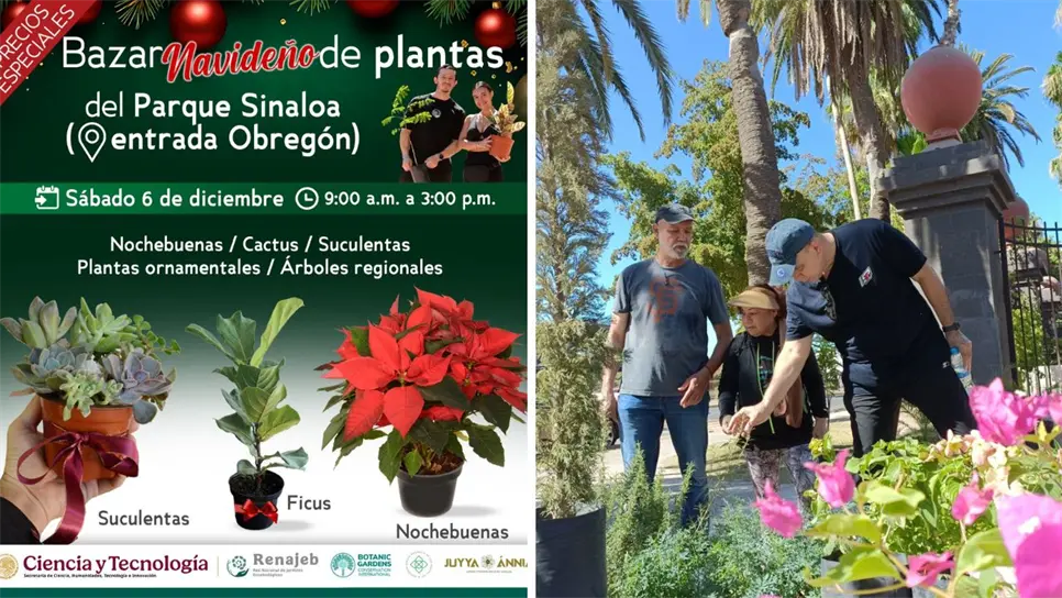 La invitación está abierta para familias, amantes de la jardinería y público en general que desee contribuir al cuidado del medio ambiente mientras adquiere plantas para embellecer sus espacios