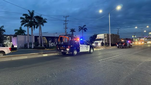 Imagen Placeholder Imagen Placeholder