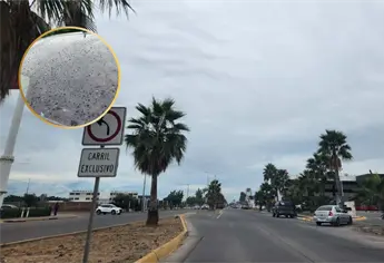 Los Mochis despertó con ligera llovizna tras el ingreso del frente frío 18