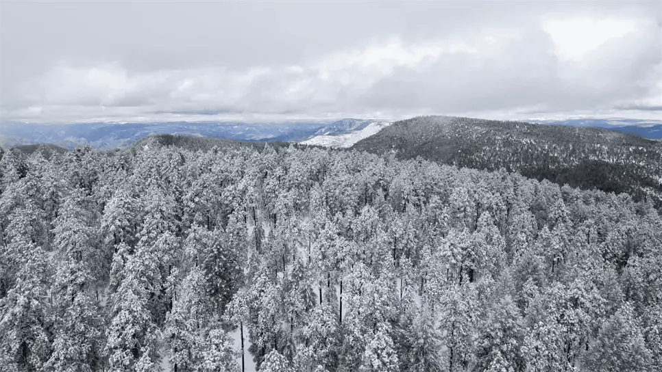 A finales de noviembre se dieron las primeras nevadas en México. (FOTO: @webcamsdemexico).