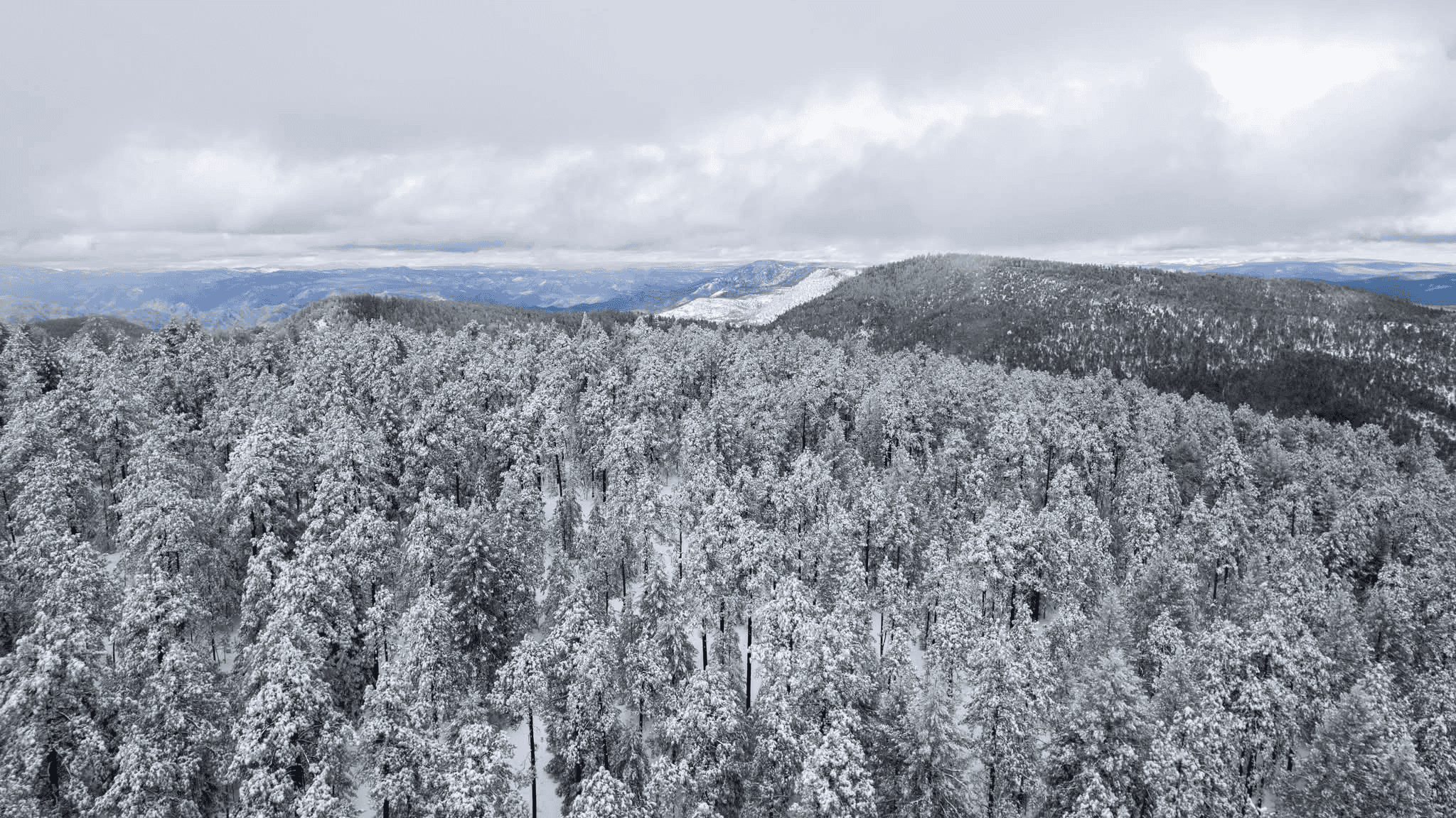 Se prevé caída de nieve o aguanieve en sierras de Sonora, Chihuahua, Durango y Sinaloa