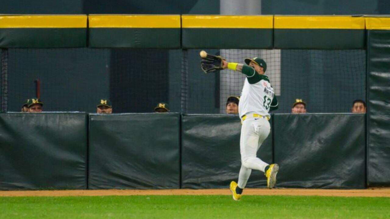 LMP: Cañeros vs Yaquis EN VIVO: Cañeros se lleva la serie ante Yaquis y recibirán a Tucson