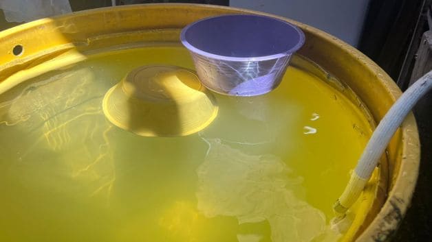 Imagen Placeholder Imagen Placeholder