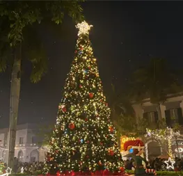 Llega la Navidad a Mazatlán con el encendido del árbol en la Plazuela Machado