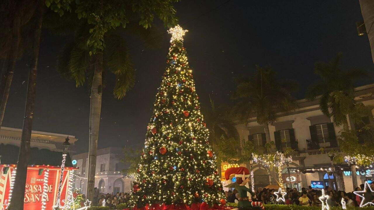 Llega la Navidad a Mazatlán con el encendido del árbol en la Plazuela Machado