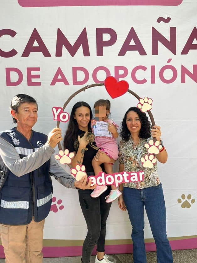 Imagen Placeholder Imagen Placeholder