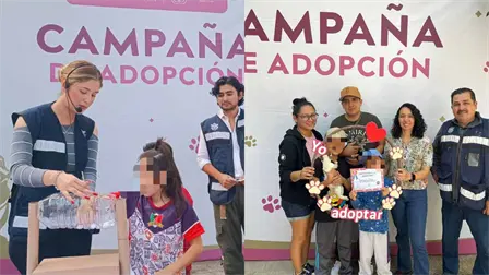 Van 63 perritos y gatitos adoptados gracias a "Huellitas del Bienestar" de Mazatlán