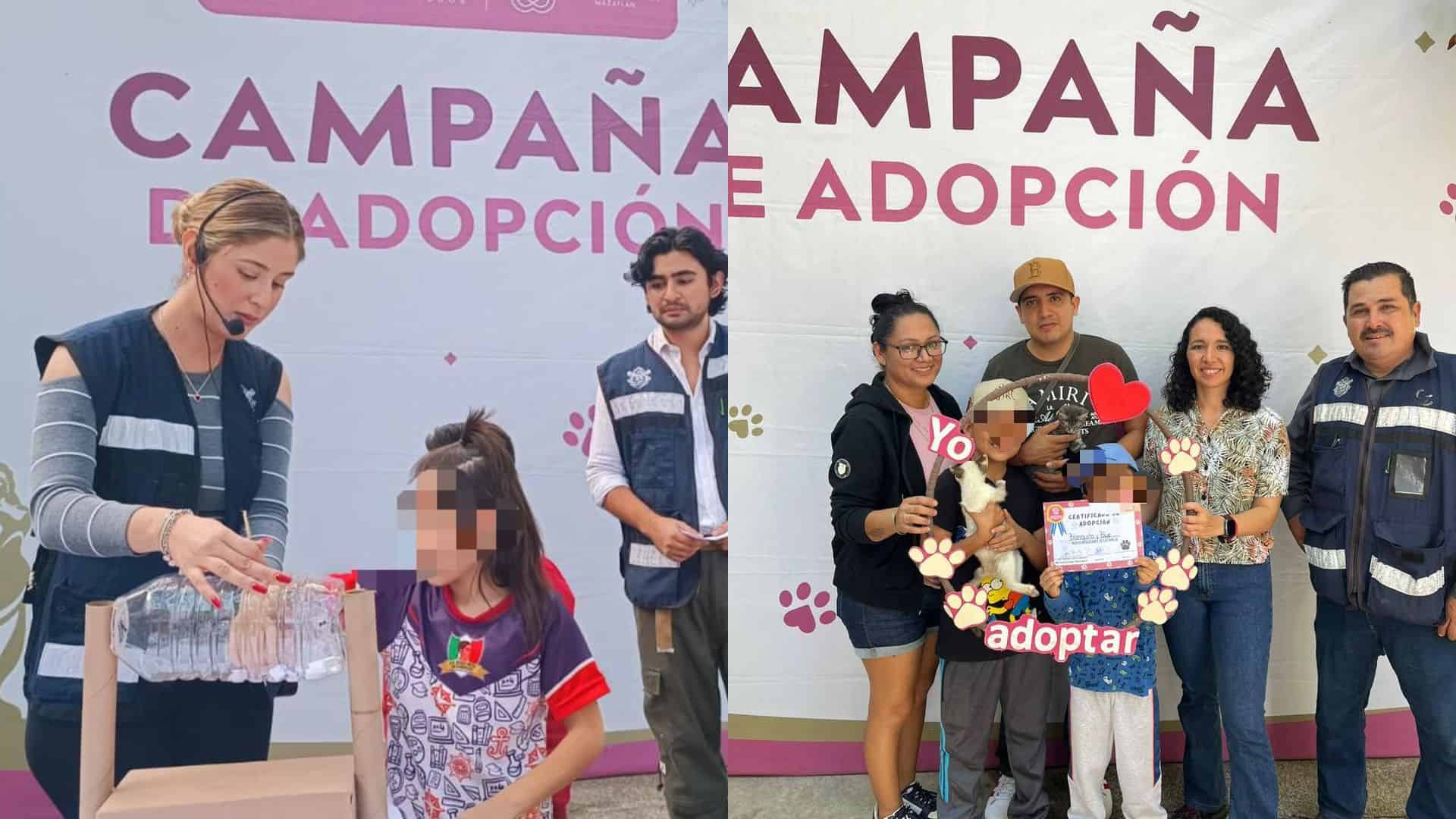 Van 63 perritos y gatitos adoptados gracias a Huellitas del Bienestar de Mazatlán