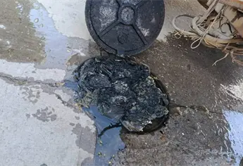 ¿Por qué las toallitas humedas provocan tantos colapsos en los drenajes de Los Mochis?