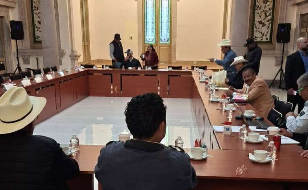 Posponen instalación de mesa nacional para el maíz; iniciarán hasta el 10 de diciembre