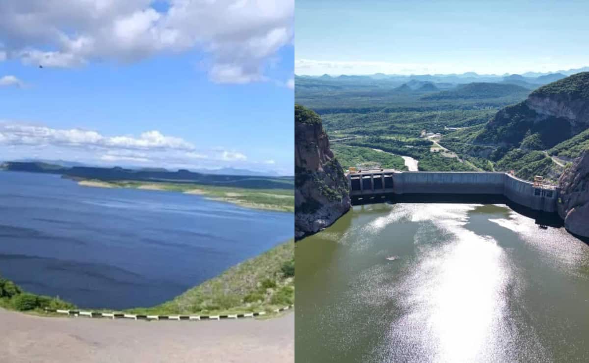 Presas de Sinaloa ¿Cuánta agua almacenan hoy 7 de diciembre?