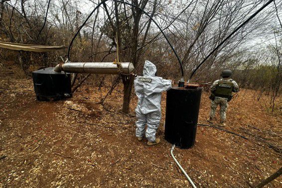 Imagen Placeholder Imagen Placeholder