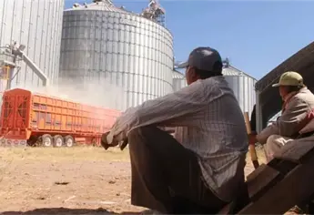 Apoyo estatal de $400 para trigueros no logra dispersarse en plazo establecido 