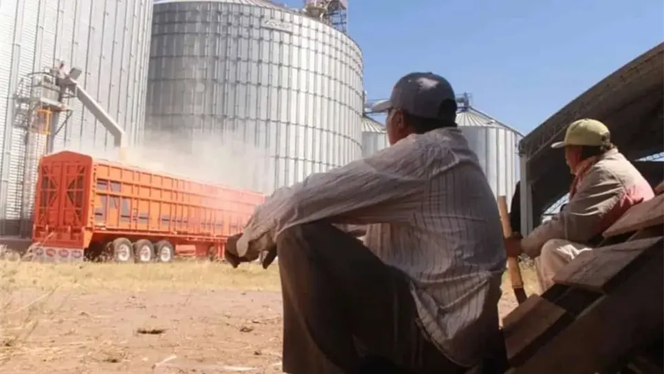 FOTO: Apoyo estatal de $400 para trigueros no logra dispersarse en plazo establecido