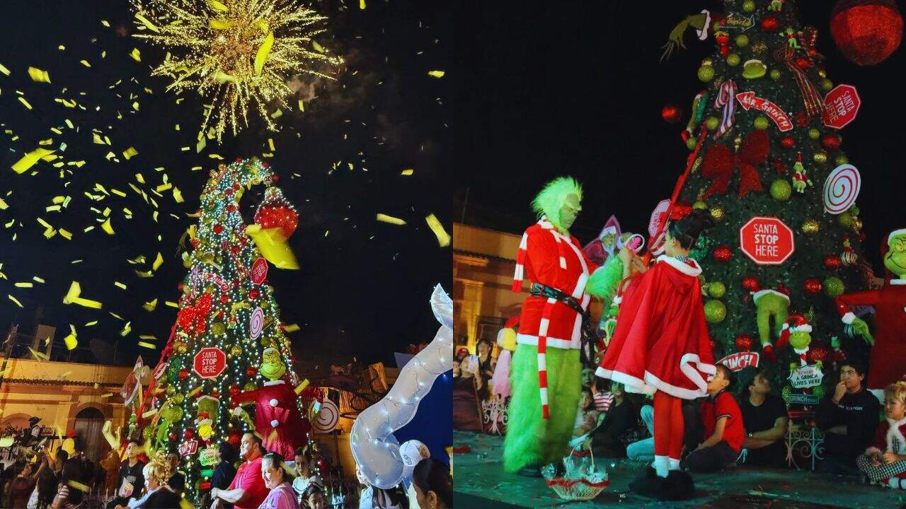 Navidad: El Grinch ilumina El Rosario, Sinaloa, y así luce el espectacular pino navideño