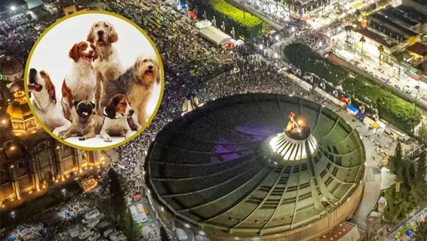 Nota Relacionada de México