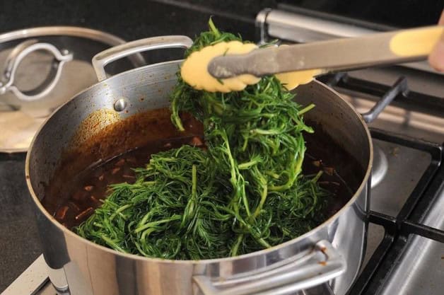 Imagen Placeholder Imagen Placeholder