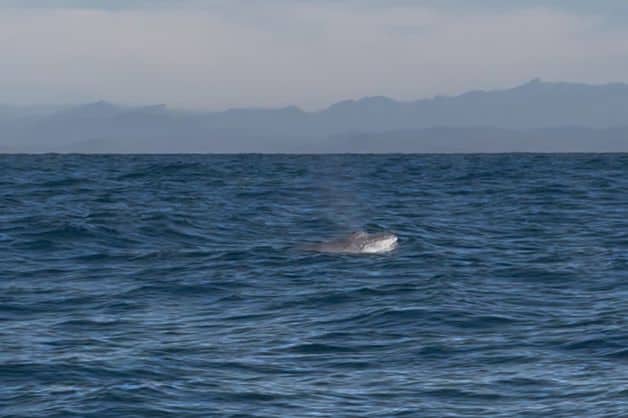 Imagen Placeholder Imagen Placeholder