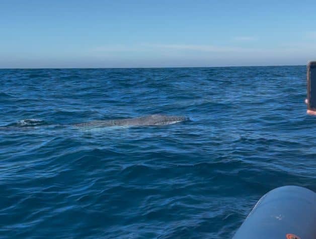 Imagen Placeholder Imagen Placeholder