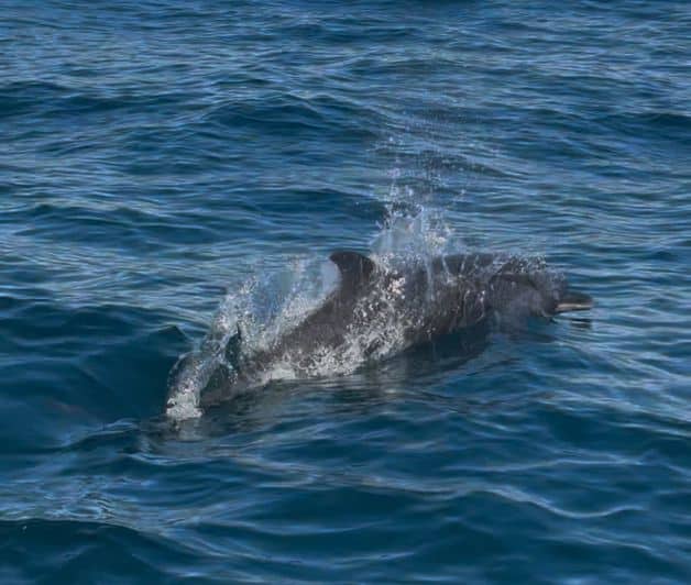 Imagen Placeholder Imagen Placeholder