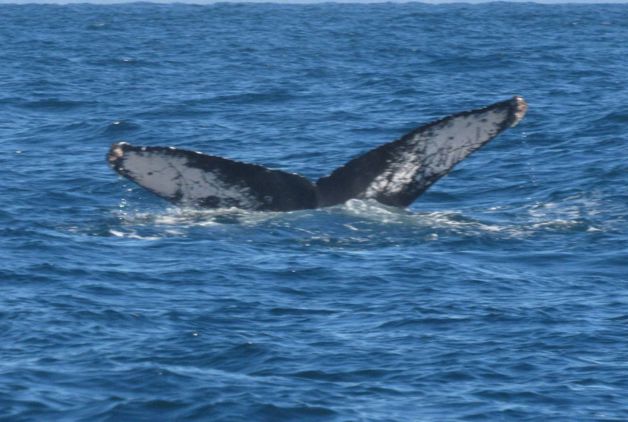 Imagen Placeholder Imagen Placeholder