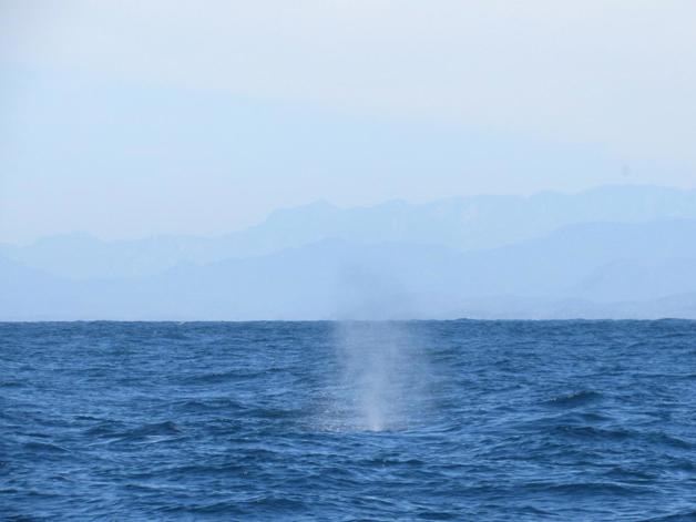 Imagen Placeholder Imagen Placeholder