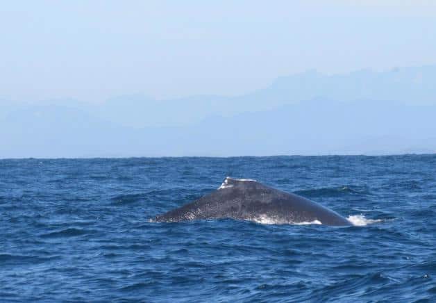 Imagen Placeholder Imagen Placeholder