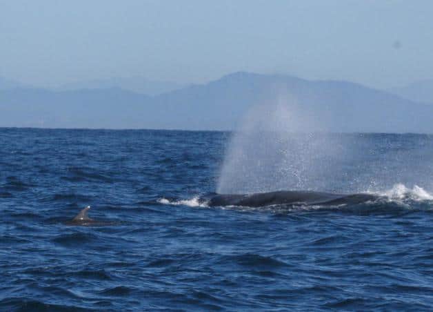 Imagen Placeholder Imagen Placeholder