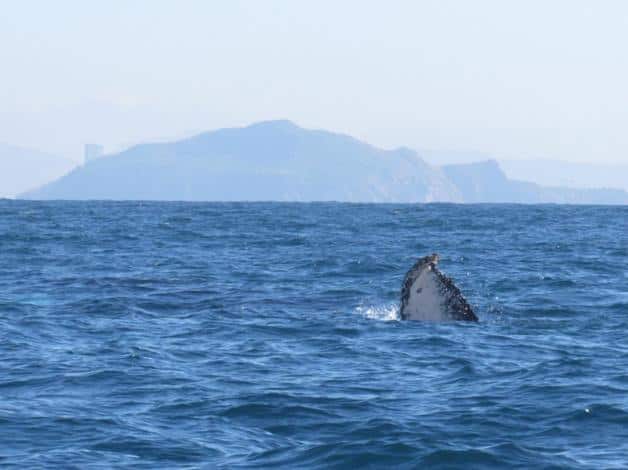 Imagen Placeholder Imagen Placeholder