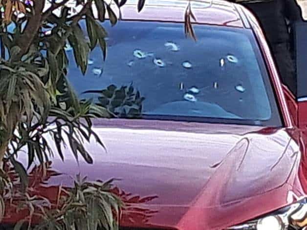 Imagen Placeholder Imagen Placeholder