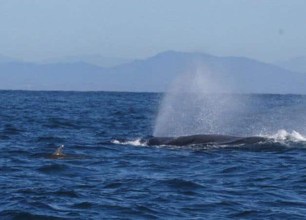 Imagen Placeholder Imagen Placeholder