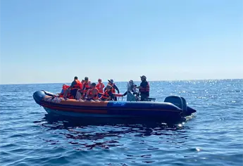 Avistamiento de ballenas en Mazatlán: esto debes pagar para vivir la aventura