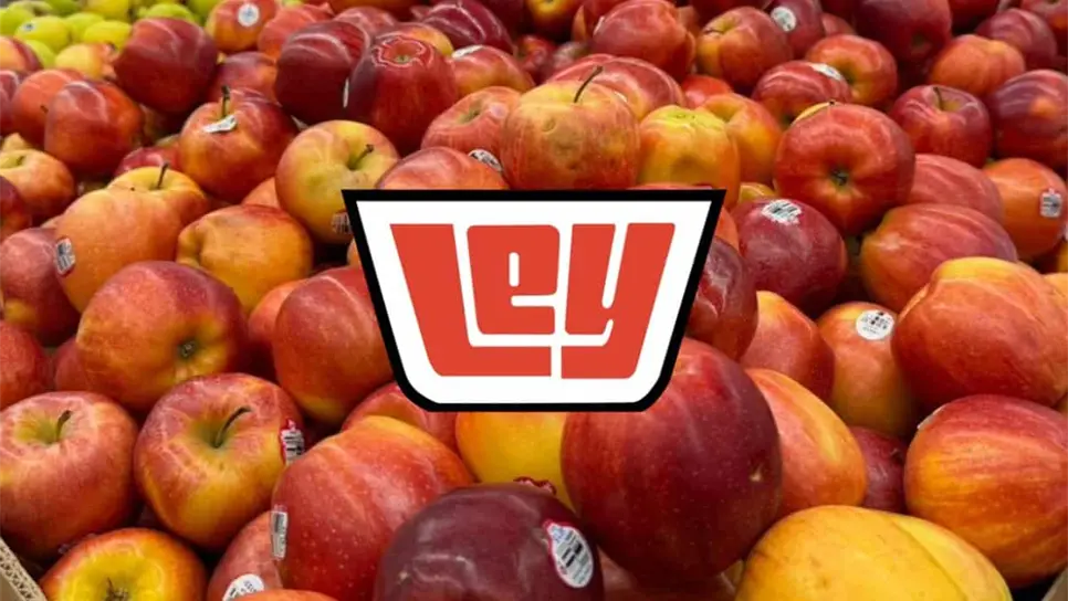 FOTO: El Día de la Fruta y la Verdura de Ley trae grandes ahorros en productos frescos y esenciales para tus cenas de temporada. Ofertas válidas solo por hoy.