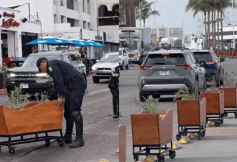 ¿Qué pasó con las nochebuenas en el malecón de La Paz, BCS?