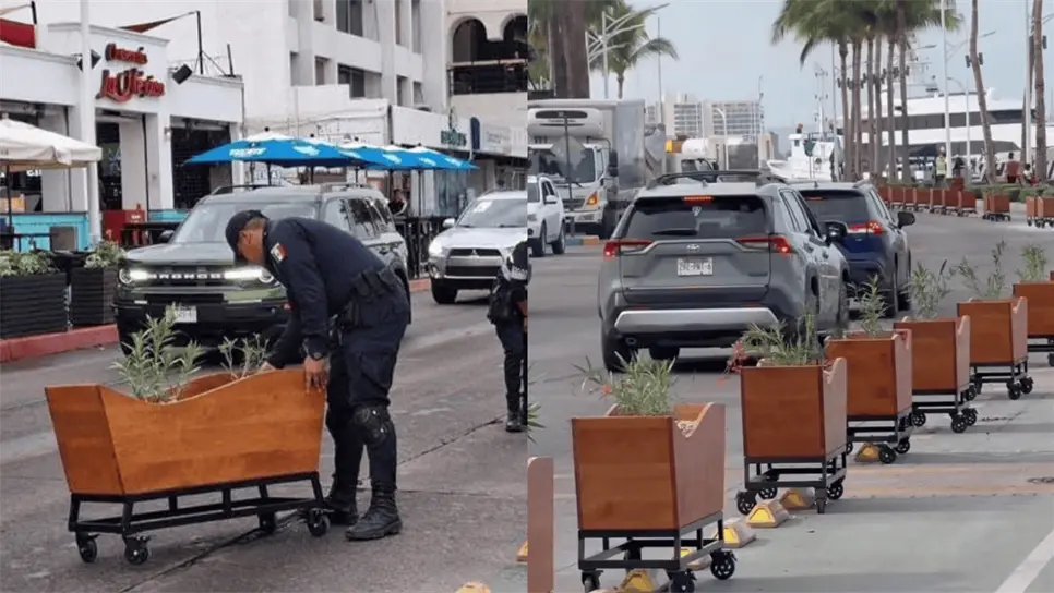 FOTO: ¿Qué pasó con las nochebuenas en el malecón de La Paz, BCS?