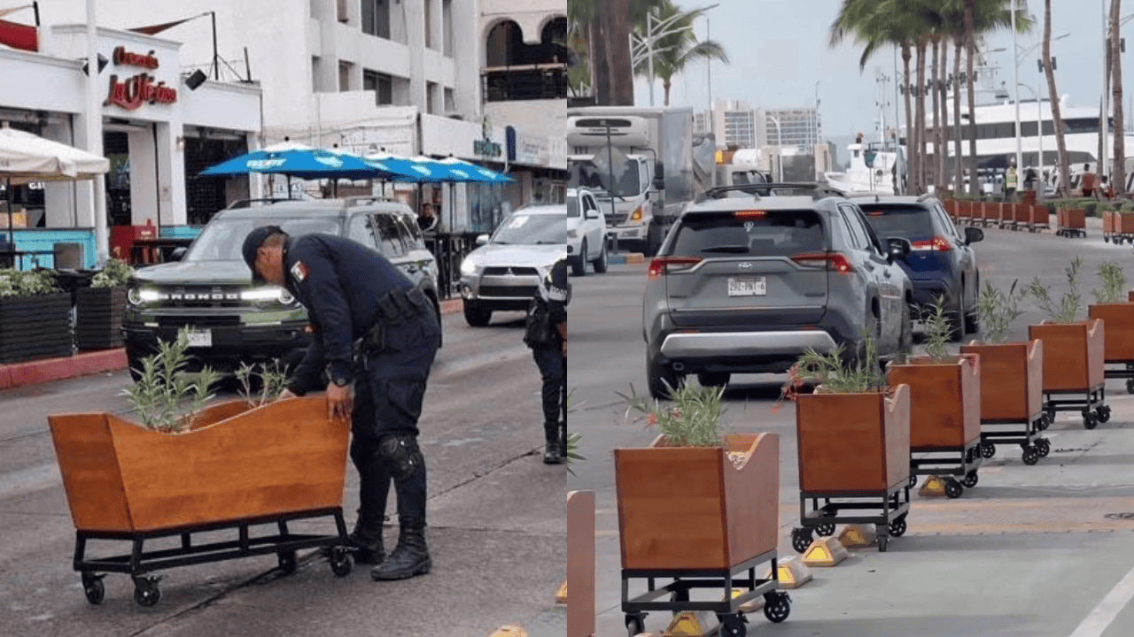 ¿Qué pasó con las nochebuenas en el malecón de La Paz, BCS?
