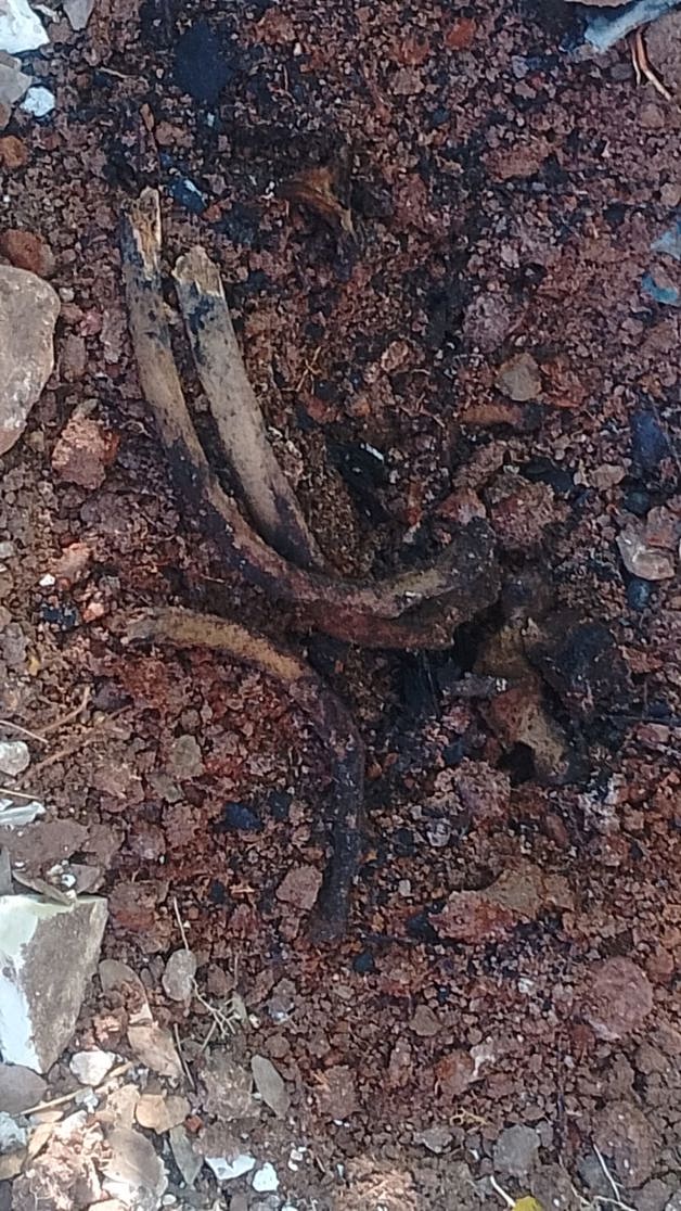 Imagen Placeholder Imagen Placeholder