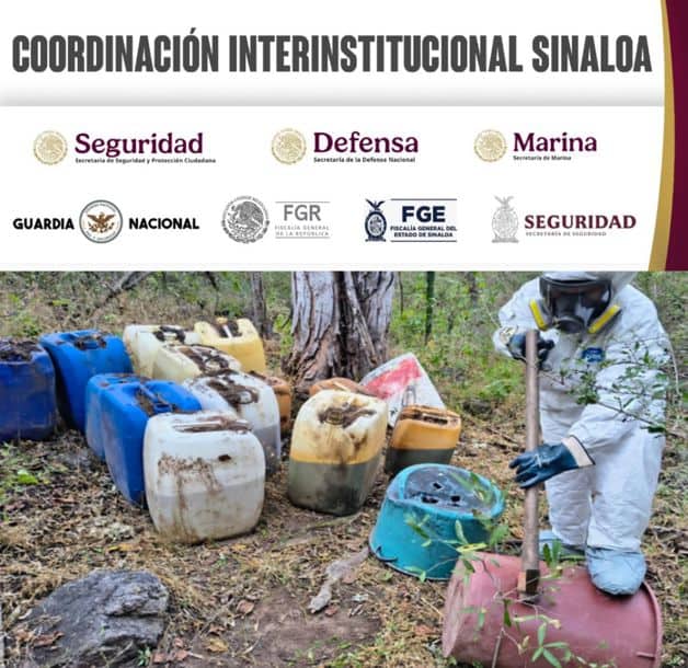 Imagen Placeholder Imagen Placeholder