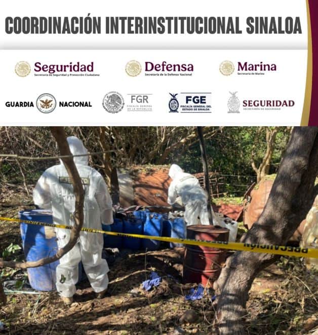 Imagen Placeholder Imagen Placeholder