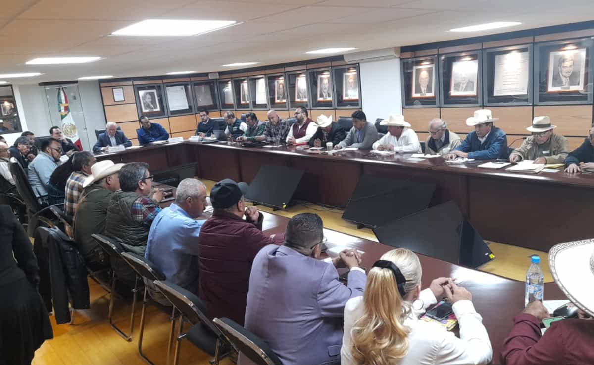 Productores piden sacar maíz  del T-MEC para frenar crisis del campo en México