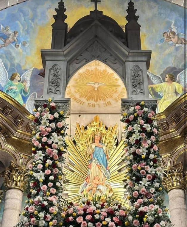 Imagen Placeholder Imagen Placeholder