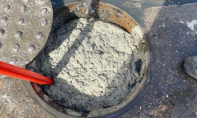 Imagen Placeholder Imagen Placeholder