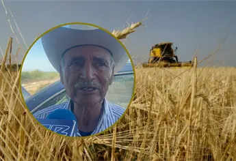 Con precio de referencia de $4,800 publican Reglas de Operación para el pago del trigo